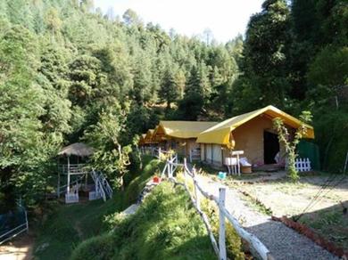 Кемпинг Shimla Camping