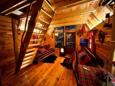 Chalet Tree house