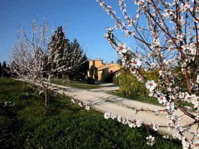 Гостевой дом Agriturismo Le magnolie