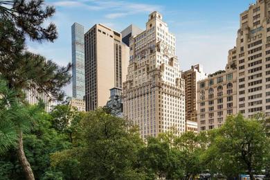 Отель The Ritz-Carlton New York, Central Park