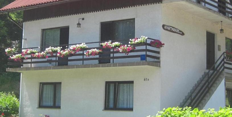 Apartments Apartments with a parking space Lokve, Gorski kotar - 15061
