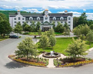 Отель Comfort Inn & Suites Near Burke Mountain