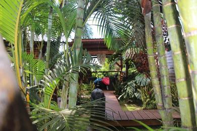 Дом отдыха Lodge Ylang Ylang, LIANE DE JADE 974 -piscine - jacuzzi privatif