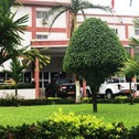 Отель Peninsula Hotel Douala
