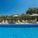 Guest house Apartment Complex Vetrina-Shared Pool