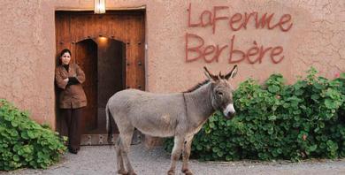 Гостевой дом La Ferme Berbere Adult only