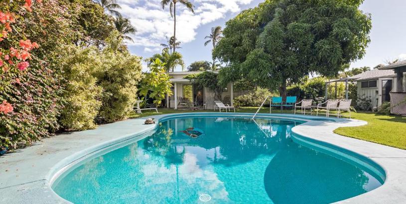 Apartments Tropical Garden Studio - Pool on property