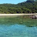Apartments Seaside secluded apartments Cove Blaca, Mljet - 615