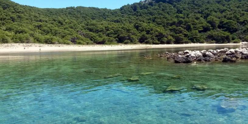 Apartments Seaside secluded apartments Cove Blaca, Mljet - 615