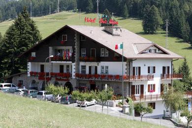 Отель Hotel Des Alpes