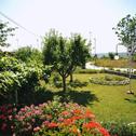 Guest house Guesthouse Rutar