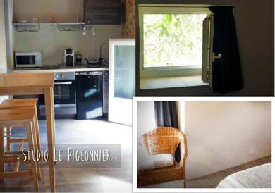 Апартаменты Petit studio Le Pigeonnier à 5 mn de Lourmarin