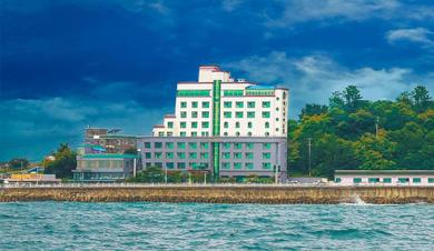 Отель Benikea Hotel Mountain & Ocean Daepohang