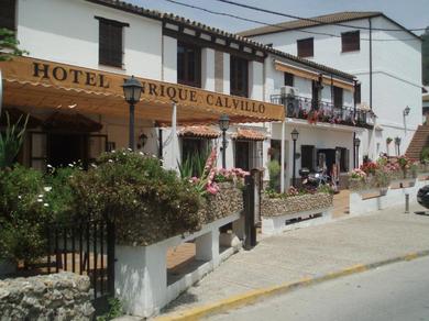 Hotel Hotel Enrique Calvillo