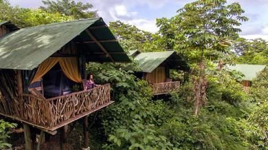 Лодж La Tigra Rainforest Lodge