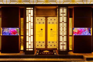 Отель для свиданий HOTEL Lotus Shibuya (Adult Only)