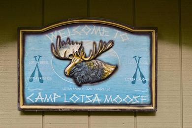 Holiday home Lotsa Moose Lodge Pisgah Forest Waterfall Cabin!