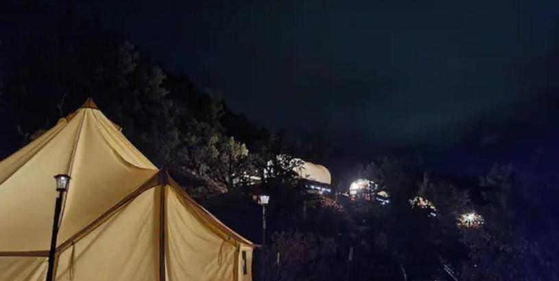 Luxury tent Little Oasis-Tent #22