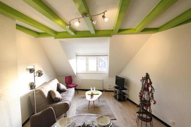 Colmar Historic Center - Cosy Appartement TURENNE 2 - BookingAlsace