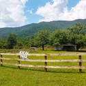Лодж Graves Mountain Farm & Lodges