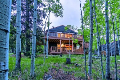 Cozy cabin surrounded by aspen trees, hike & fish nearby!