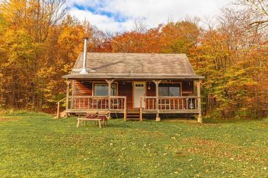 Holiday home Catskills Cabin-Mountain Views-5.5 Acres-Fast Wifi