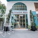 Hotel Blooming Hill Boutique Suites