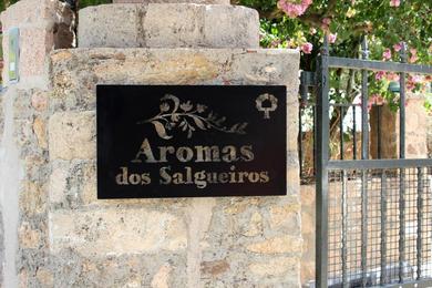 Гостевой дом Aromas dos Salgueiros
