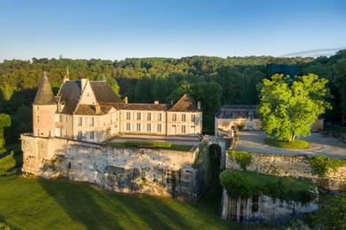 Holiday home Lamonzie-Montastruc Chateau Sleeps 20 Pool WiFi