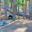 Дом отдыха Yosemite Woods