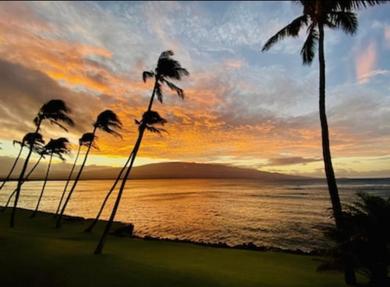 Spectacular luxury , modern oceanfront condo Maalaea-Kihei ,Maui