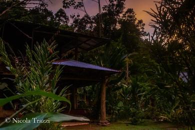 Lodge Estación Biológica Tamandua