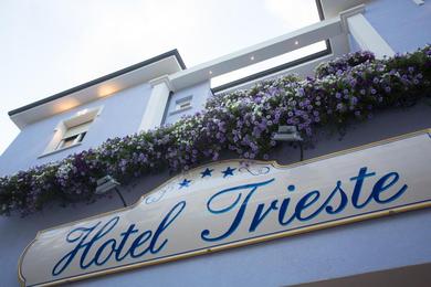 Отель Hotel Trieste
