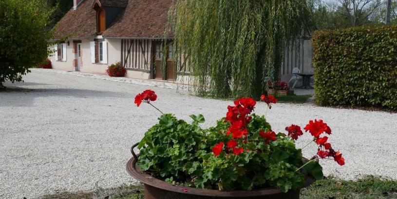 Holiday home Gîte Cour-Cheverny, 3 pièces, 5 personnes - FR-1-491-225