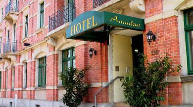 Отель Hotel Amadeus