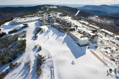 Апартаменты Your Epic Snowshoe Ski & MTB Adventures Await