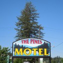 Мотель The Pines Motel
