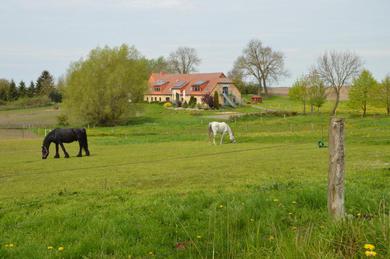 Guest house Heu-Ferienhof Altkamp