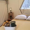 Luxury tent Tentrr Signature Site - Pine Spirit