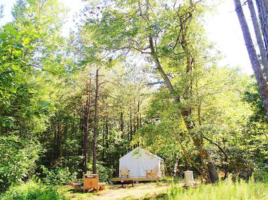 Люкс-шатер Tentrr - The Stand: Woodsy Glamping Retreat Near Chincoteague Island!