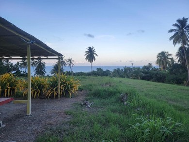 Отель Camping Barbados - East Coast Campsite