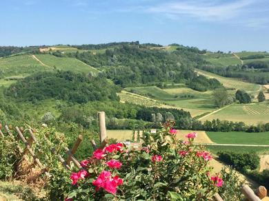 Large secluded villa, fabulous countryside views, beautiful Piedmonte landscape