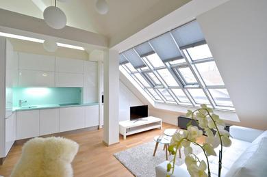 Apartments Designer Loft Wenceslas Sq