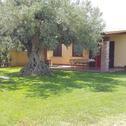 Дом отдыха House surrounded by olive trees