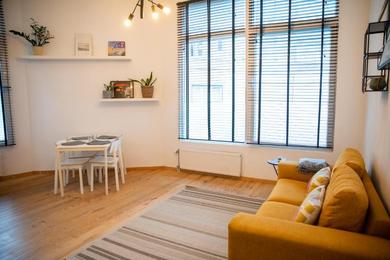 Cozy apartment in Antwerp- shuttle to Tomorrowland possible