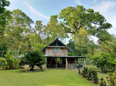 Гостевой дом Jacamar Rainforest House BnB