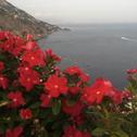Апартаменты Coastal Cliff, Amalfi