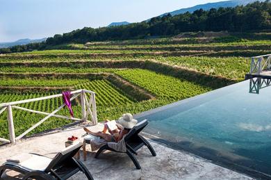 Гостевой дом Wine Resort Villagrande