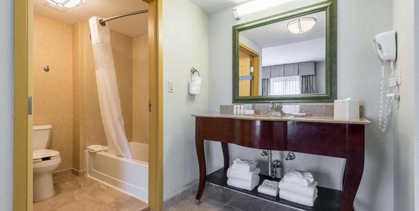 Hotel Hampton Inn & Suites Orlando-South Lake Buena Vista