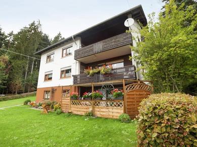 Апартаменты Cosy and spacious apartment with balcony in the Black Forest